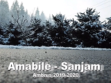 Ambrus Amabile