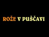 Rože v puščavi